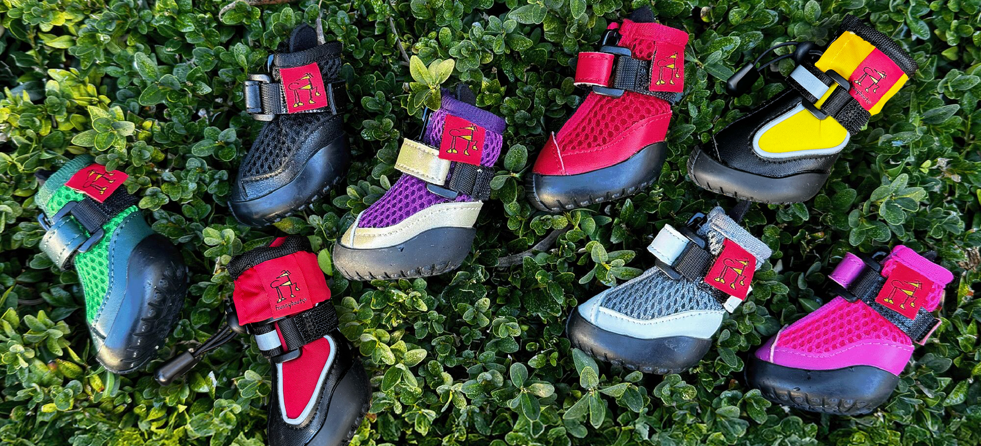 Italian greyhound Summer & Winter Hunnyboots