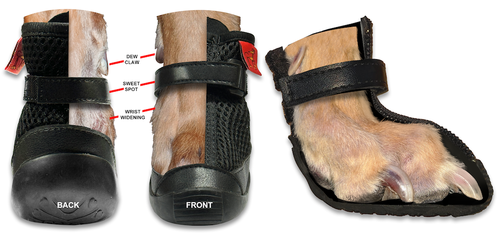 Summer Boot Strap Adjustment and Repair