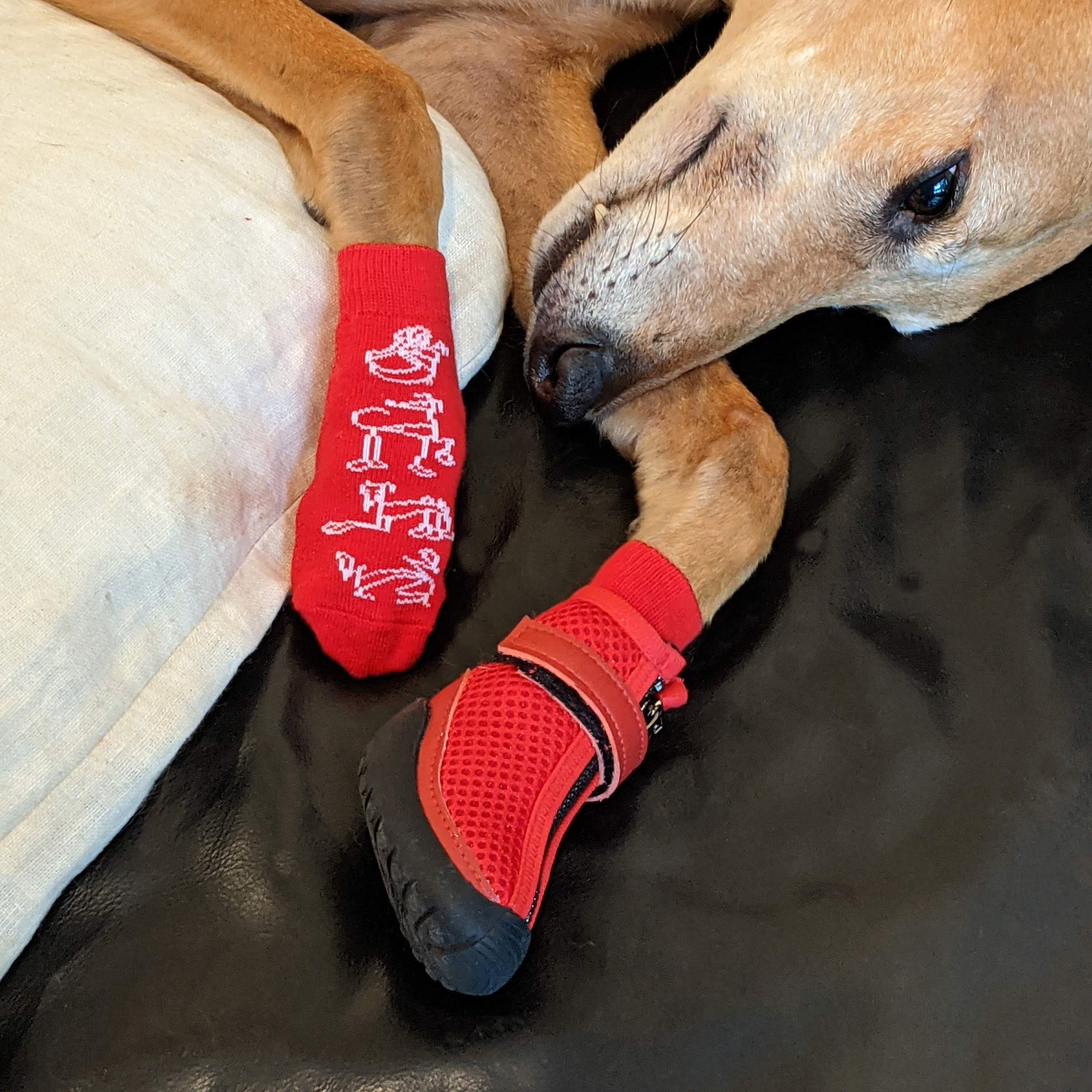 Fashound Sox by Hunnyboots