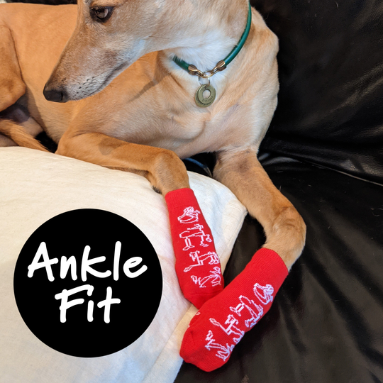 Ankle sock fit