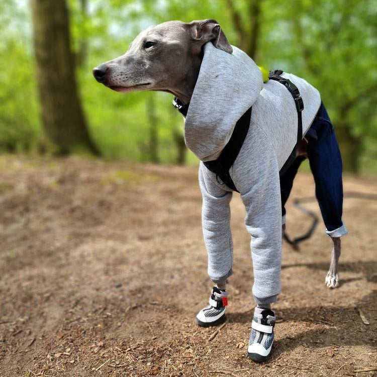 Hound wearing Street Chic V4 Summer Boots