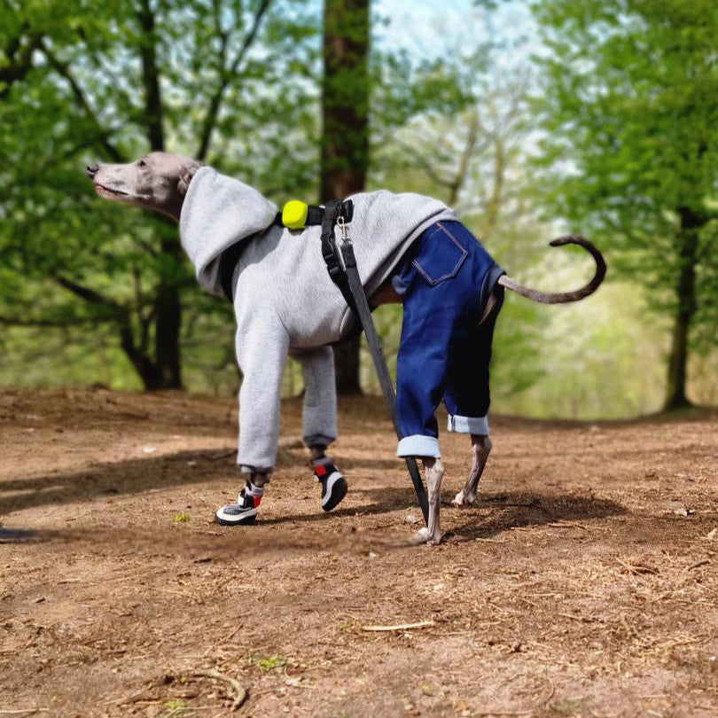 Hound wearing Street Chic V4 Summer Boots