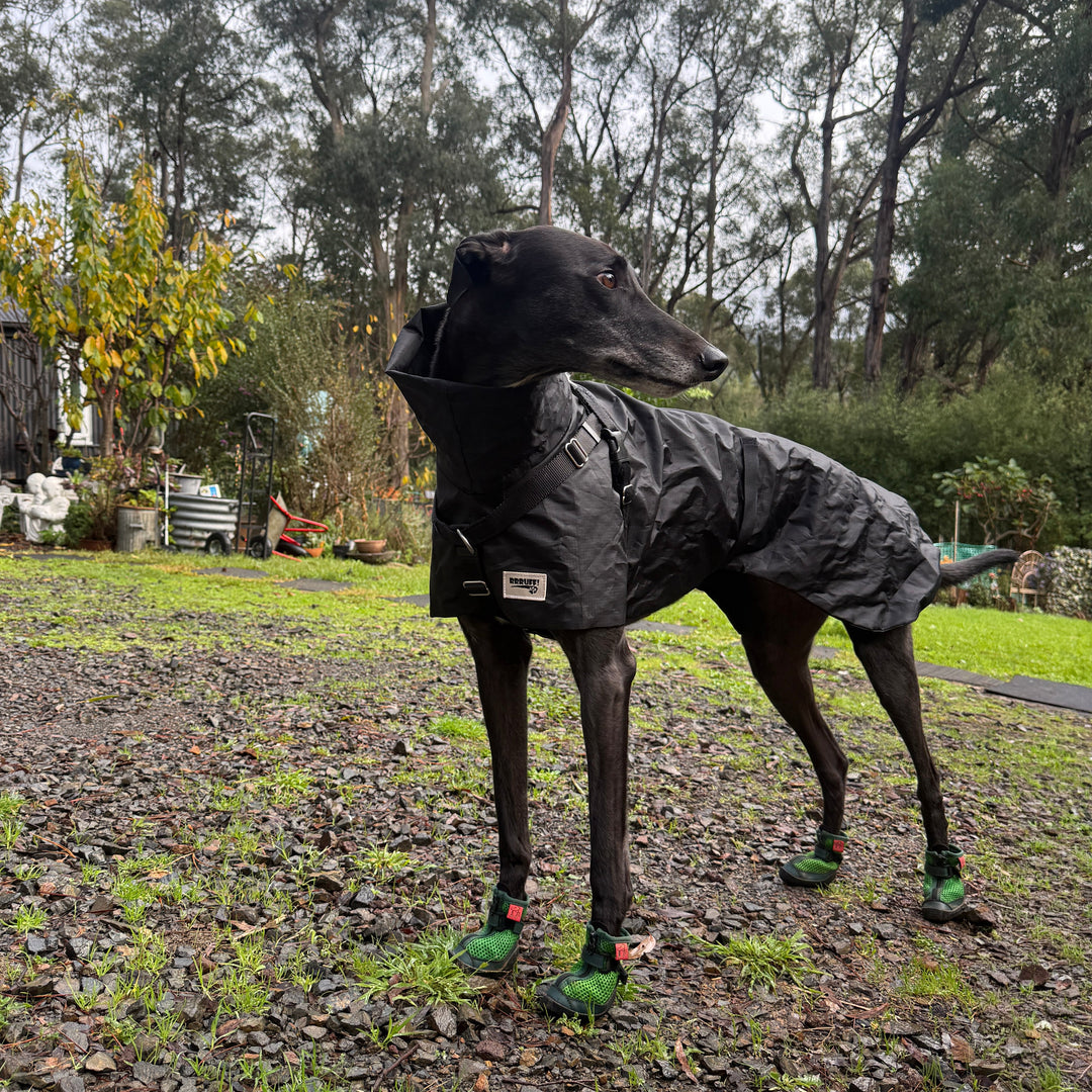 Hound wearing Grass Green V4 Summer Boots