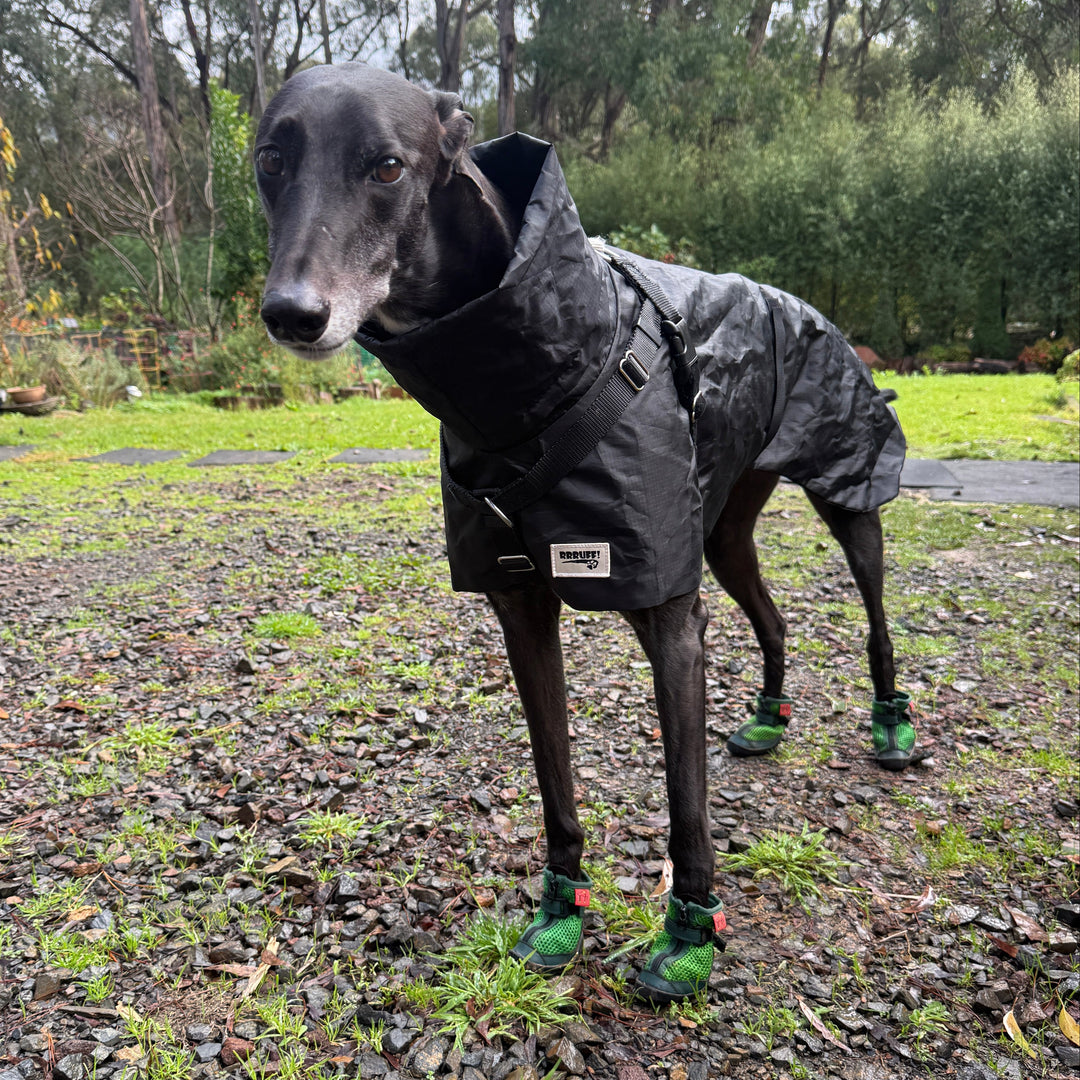 Hound wearing Grass Green V4 Summer Boots