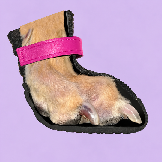 Hot Pink V4 Summer Boot strap
