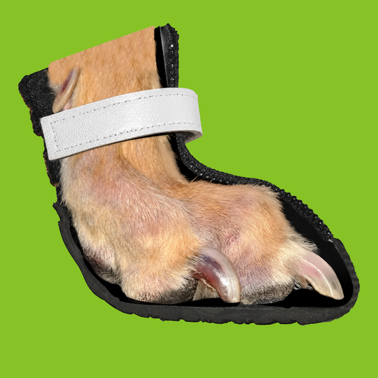 Street Chic V4 Summer Boot strap