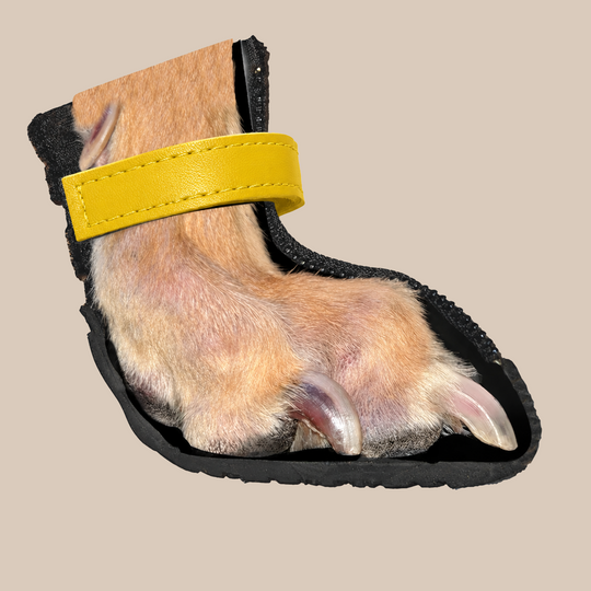 Zooomba V4 Summer Boot strap