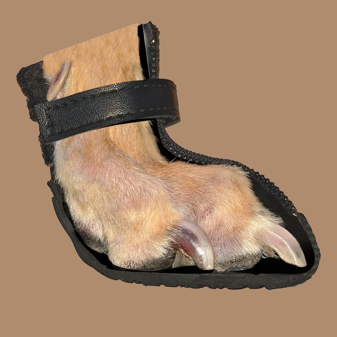 V4 Summer Boot zip and strap