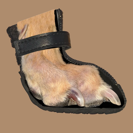 V4 Summer Boot zip and strap