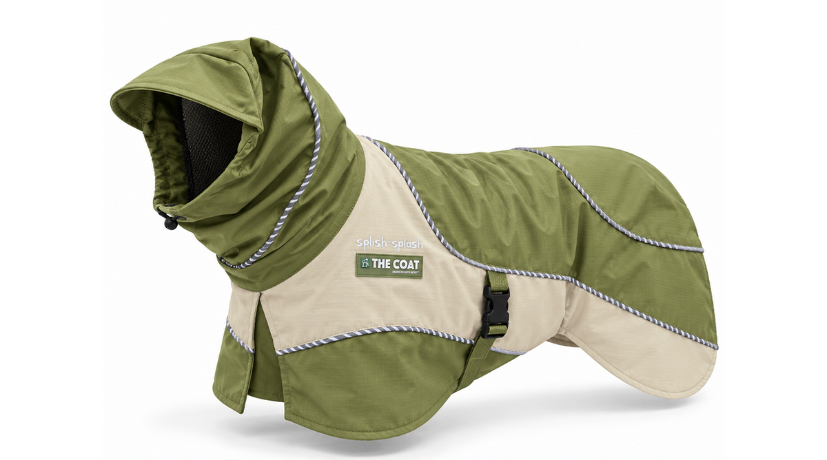 Three greyhounds in Splish-Splash raincoats in lilac, forest green and mustard