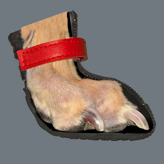 V4 Summer Boot cutaway showing the fit