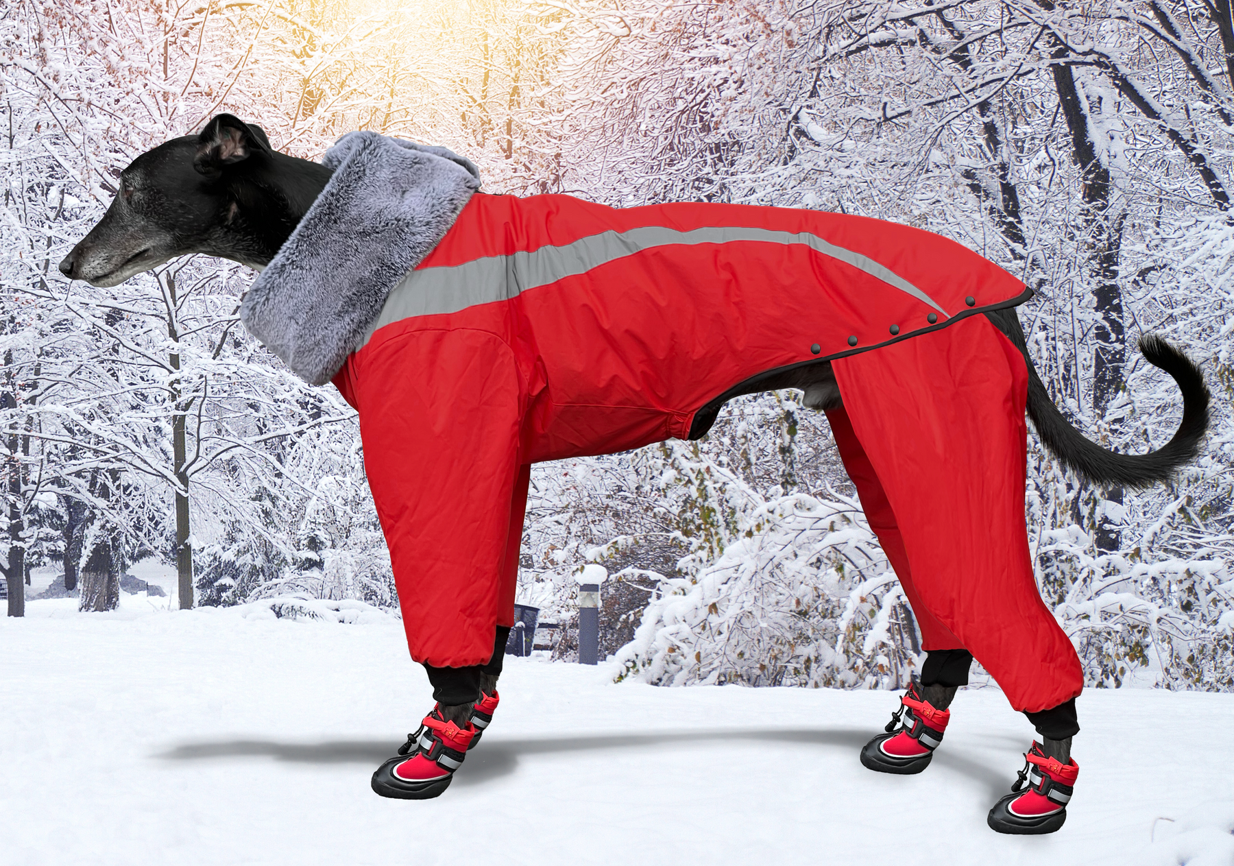 Winter sales coat australia